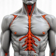 Izom és Ízület támogatás termékek